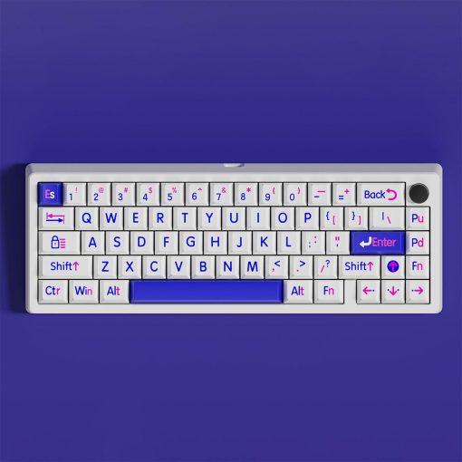 Cherry Profile Double-Shot PBT Keycap Set - Klein Blue Large Characters - Image 3